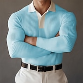 preiswerte Klassisches Poloshirt für Herren-Herren Poloshirts Golf Poloshirts Formal Arbeit Gerippter Polokragen Langarm Modisch Komfortabel Farbblock Knopf Sommer Frühling Herbst Hellblau Weiß Grün Poloshirts