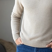 voordelige pullover voor heren-Voor heren Trui Jurk Trui Geribd breien Gecoupeerd Vetoketju Gebreid Effen Kleur Opstaand Stijlvol Basic Buiten Dagelijks Kleding Herfst Winter Kameel Zwart S M L