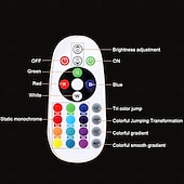 abordables Luces LED de neón-3M 5 m 7m Conjuntos de luces 96 LED 5050 SMD 10 mm 1 Controlador remoto de 24 teclas 1 juego RGB Tiras de Luces LED Fiesta Al Aire Libre Impermeable 220-240 V