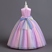 billige Blomsterkjoler-Blomsterpikekjole Barn Jente Prinsesse kjole Ytelse Bryllup Fest Elegant Vakker Paljetter Netting Regnbue Ermeløs Crew-hals Rosa Blå 4 år +