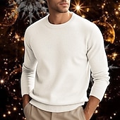 preiswerte Herrenpullover-Herren Wollpullover Pullover Kaschmir Kaschmirpullover Strickpullover Gerippt Stricken Standard Strick Glatt Rundhalsausschnitt Modisch Brautkleider schlicht Freizeitskleidung Verabredung Bekleidung