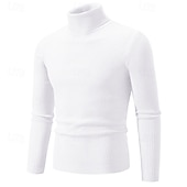 preiswerte Herrenpullover-Herren Pullover Gerippt Stricken Standard Strick Schmaler Schnitt Glatt Rollkragen Moderne zeitgenössische Arbeit Freizeitskleidung Bekleidung Winter Frühling &amp; Herbst Schwarz Weiß M L XL