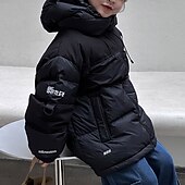 billiga Boy&amp;#39;s Downs &amp;amp; Pufferjacka-Barn Pojkar Ner Hoodiejacka Pufferjacka Ytterkläder Färgblock Långärmad Ficka Täcka Utomhus Dagligen Grundläggande Svart Grön Höst Vinter 4 år +