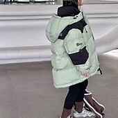 billiga Boy&amp;#39;s Downs &amp;amp; Pufferjacka-Barn Pojkar Ner Hoodiejacka Pufferjacka Ytterkläder Färgblock Långärmad Ficka Täcka Utomhus Dagligen Grundläggande Svart Grön Höst Vinter 4 år +
