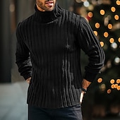 preiswerte Herrenpullover-Herren Rollkragenpulli Pullover Gerippt Stricken Standard Strick Schmaler Schnitt Glatt Rollkragen Moderne zeitgenössische Arbeit Freizeitskleidung Bekleidung Winter Frühling &amp; Herbst Schwarz Blau M