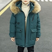 billiga Boy&amp;#39;s Downs &amp;amp; Pufferjacka-Barn Pojkar Hoodiejacka Pufferjacka Ytterkläder Ensfärgat Långärmad Ficka Täcka Utomhus Dagligen Grundläggande Svart Blå Grön Höst Vinter 4 år +