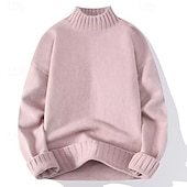 preiswerte Herrenpullover-Herren Pullover Rollkragenpullover für Herren Overall Gerippt Stricken Standard Strick Glatt Rollkragen Moderne zeitgenössische Arbeit Freizeitskleidung Bekleidung Winter Schwarz Weiß M L XL