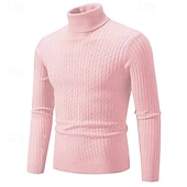 cheap Men&#039;s Pullover Sweater-Men&#039;s Turtleneck Sweater Pullover Sweater Jumper Ribbed Knit Regular Knitted Slim Fit Plain Turtleneck Modern Contemporary Work Daily Wear Clothing Apparel Winter Spring &amp;  Fall Black White M L XL