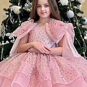 voordelige Feestjurken-Kinderen Voor meisjes Feestjurk Effen Kleur Mouwloos Prestatie Netstof Prinses Zoet Netstof Halverwege kuit Schede jurk Tule-jurk Zomer Lente Herfst Kinderen Wit Champagne Blozend Roze