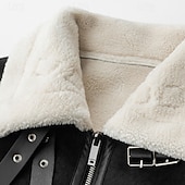 abordables Veste en simili-cuir-Homme Simili Cuir Veste Polaire Veste moto Blouson Moto du quotidien Vacances Coupe Vent Chaud Poche Automne hiver Plein Mode Classique Revers Normal Noir Beige Café Veste