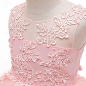 abordables Robes à Fleurs pour Filles-Robe de Demoiselle d&#039;Honneur Fille enfants Fille Robe de princesse Utilisation Mariage Soirée Elégant Magnifique Maille Couleur unie Sans Manches Col Ras du Cou Blanche Rose Claire 4 ans et +