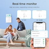 economico Elettrodomestici-tuya termoigrometro wireless wifi termometro igrometro temperatura umidità tester sensore supporto per alexa google