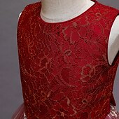 abordables Robes de fête-Enfants Fille Robe de fête Etoile Sans Manches Utilisation Noël Anniversaire Maille Magnifique Doux Polyester Maxi robe soirée Robe Évasée Robe Trapèze Eté 4-12 ans Rose Claire Rouge Bleu
