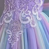 billige Blomsterkjoler-Blomsterpikekjole Barn Jente Prinsesse kjole Ytelse Bryllup Fest Elegant Vakker Paljetter Netting Regnbue Ermeløs Crew-hals Rosa Blå 4 år +