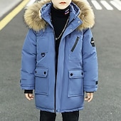 billiga Boy&amp;#39;s Downs &amp;amp; Pufferjacka-Barn Pojkar Hoodiejacka Pufferjacka Ytterkläder Ensfärgat Långärmad Ficka Täcka Utomhus Dagligen Grundläggande Svart Blå Grön Höst Vinter 4 år +