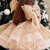 voordelige Feestjurken-Kinderen Voor meisjes Feestjurk Effen Kleur Mouwloos Prestatie Netstof Prinses Zoet Netstof Halverwege kuit Schede jurk Tule-jurk Zomer Lente Herfst Kinderen Wit Champagne Blozend Roze