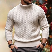 preiswerte Herrenpullover-Herren Rollkragenpulli Pullover Zur Seite fahren Gerippt Gedrehtes Stricken Strick Glatt Rollkragen warm halten Brautkleider schlicht Freizeitskleidung Urlaub Bekleidung Herbst Winter Kamel Schwarz M