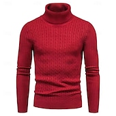 cheap Men&#039;s Pullover Sweater-Men&#039;s Turtleneck Sweater Pullover Sweater Jumper Ribbed Knit Regular Knitted Slim Fit Plain Turtleneck Modern Contemporary Work Daily Wear Clothing Apparel Winter Spring &amp;  Fall Black White M L XL