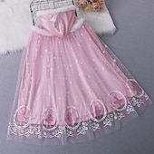 economico Costumi per bambine-Frozen - Il regno di ghiaccio Principessa Fiaba Elsa Cappotto Mantello Costume per festa a tema Costume Cosplay Cosplay di film for Ragazze Bambini Natale Carnevale Giornata universale dell&#039;infanzia