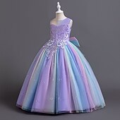 billige Blomsterkjoler-Blomsterpikekjole Barn Jente Prinsesse kjole Ytelse Bryllup Fest Elegant Vakker Paljetter Netting Regnbue Ermeløs Crew-hals Rosa Blå 4 år +