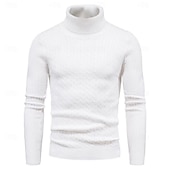 cheap Men&#039;s Pullover Sweater-Men&#039;s Turtleneck Sweater Pullover Sweater Jumper Ribbed Knit Regular Knitted Slim Fit Plain Turtleneck Modern Contemporary Work Daily Wear Clothing Apparel Winter Spring &amp;  Fall Black White M L XL