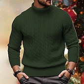 preiswerte Herrenpullover-Herren Rollkragenpulli Pullover Zur Seite fahren Gerippt Gedrehtes Stricken Strick Glatt Rollkragen warm halten Brautkleider schlicht Freizeitskleidung Urlaub Bekleidung Herbst Winter Kamel Schwarz M