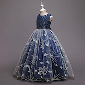 abordables Robes de fête-Enfants Fille Robe de fête Etoile Sans Manches Utilisation Noël Anniversaire Maille Magnifique Doux Polyester Maxi robe soirée Robe Évasée Robe Trapèze Eté 4-12 ans Rose Claire Rouge Bleu
