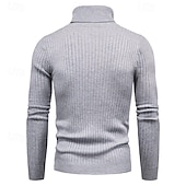 cheap Men&#039;s Pullover Sweater-Men&#039;s Turtleneck Sweater Pullover Sweater Jumper Ribbed Knit Regular Knitted Slim Fit Plain Turtleneck Modern Contemporary Work Daily Wear Clothing Apparel Winter Spring &amp;  Fall Black White M L XL