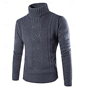 お買い得  男性用プルオーバーセーター-男性用 タートルネックセーター プルオーバーセーター ケーブル ニット レギュラー ニット スリムフィット 平織り タートルネック 現代コンテンポラリー ワーク デイリーウェア 衣類 冬 春 &amp; 秋 ブラック カーキ色 M L XL