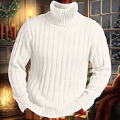 cheap Men&#039;s Pullover Sweater-Men&#039;s Turtleneck Sweater Pullover Sweater Jumper Knit Sweater Mens Turtle Neck Jumper Ribbed Knit Regular Knitted Pit Plain Roll Neck Keep Warm Modern Contemporary Daily Wear Going out Clothing