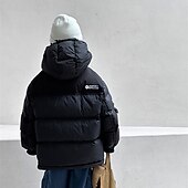 billiga Boy&amp;#39;s Downs &amp;amp; Pufferjacka-Barn Pojkar Ner Hoodiejacka Pufferjacka Ytterkläder Färgblock Långärmad Ficka Täcka Utomhus Dagligen Grundläggande Svart Grön Höst Vinter 4 år +