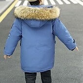 billiga Boy&amp;#39;s Downs &amp;amp; Pufferjacka-Barn Pojkar Hoodiejacka Pufferjacka Ytterkläder Ensfärgat Långärmad Ficka Täcka Utomhus Dagligen Grundläggande Svart Blå Grön Höst Vinter 4 år +