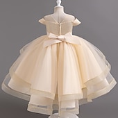 preiswerte Partykleider-kinderkleidung Mädchen Party Kleid Feste Farbe Kurzarm Hochzeit Besondere Anlässe Rüschen Gitter Zip bezaubernd Süß Polyester Asymmetrisch abendkleider Sommer Frühling Herbst 4-13 Jahre Wei