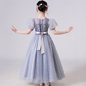 voordelige Bloemenjurken-Bloemenmeisjesjurk kinderen Voor meisjes Prinses jurk Prestatie Bruiloft Feest Elegant Mooi Netstof Effen Kleur Korte mouw Strakke ronde hals Wit Blozend Roze 4 jaar +