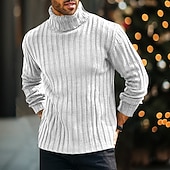 preiswerte Herrenpullover-Herren Rollkragenpulli Pullover Gerippt Stricken Standard Strick Schmaler Schnitt Glatt Rollkragen Moderne zeitgenössische Arbeit Freizeitskleidung Bekleidung Winter Frühling &amp; Herbst Schwarz Blau M