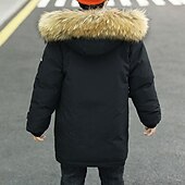 billiga Boy&amp;#39;s Downs &amp;amp; Pufferjacka-Barn Pojkar Hoodiejacka Pufferjacka Ytterkläder Ensfärgat Långärmad Ficka Täcka Utomhus Dagligen Grundläggande Svart Blå Grön Höst Vinter 4 år +