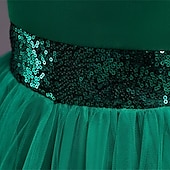 economico Vestiti per serate-Bambino Da ragazza Vestito da festa Tinta unica Senza maniche Prestazioni Compleanno Retato Bellissimo Dolce Poliestere Asimmetrico Vestito da festa Vestito svasato Abito linea A Estate 4-12 anni