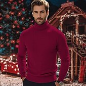preiswerte Herrenpullover-Herren Pullover Strickpullover Gerippt Stricken Standard Strick Glatt Rollkragen Modisch Brautkleider schlicht Urlaub Freizeitskleidung Bekleidung Herbst Winter Kamel Wein S M L