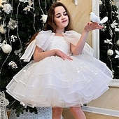 voordelige Feestjurken-Kinderen Voor meisjes Feestjurk Effen Kleur Mouwloos Prestatie Netstof Prinses Zoet Netstof Halverwege kuit Schede jurk Tule-jurk Zomer Lente Herfst Kinderen Wit Champagne Blozend Roze