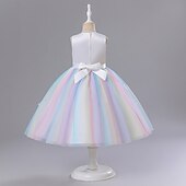 billige Enhjørningskjoler-Blomsterpikekjole Barn Jente Prinsesse kjole Ytelse Bryllup Fest Elegant Vakker Netting Blomstret Ermeløs Crew-hals Hvit Rosa 4 år +