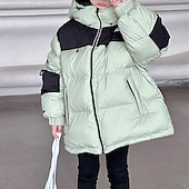 billiga Boy&amp;#39;s Downs &amp;amp; Pufferjacka-Barn Pojkar Ner Hoodiejacka Pufferjacka Ytterkläder Färgblock Långärmad Ficka Täcka Utomhus Dagligen Grundläggande Svart Grön Höst Vinter 4 år +