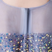 voordelige Bloemenjurken-Bloemenmeisjesjurk kinderen Voor meisjes Prinses jurk Prestatie Bruiloft Feest Elegant Mooi Netstof Effen Kleur Korte mouw Strakke ronde hals Wit Blozend Roze 4 jaar +