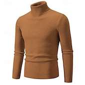 preiswerte Herrenpullover-Herren Pullover Gerippt Stricken Standard Strick Schmaler Schnitt Glatt Rollkragen Moderne zeitgenössische Arbeit Freizeitskleidung Bekleidung Winter Frühling &amp; Herbst Schwarz Weiß M L XL