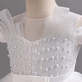 preiswerte Partykleider-kinderkleidung Mädchen Party Kleid Feste Farbe Kurzarm Hochzeit Besondere Anlässe Rüschen Gitter Zip bezaubernd Süß Polyester Asymmetrisch abendkleider Sommer Frühling Herbst 4-13 Jahre Wei
