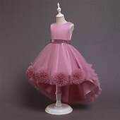 economico Vestiti per serate-Bambino Da ragazza Vestito da festa Tinta unica Senza maniche Prestazioni Compleanno Retato Bellissimo Dolce Poliestere Asimmetrico Vestito da festa Vestito svasato Abito linea A Estate 4-12 anni