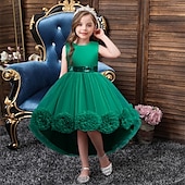 economico Vestiti per serate-Bambino Da ragazza Vestito da festa Tinta unica Senza maniche Prestazioni Compleanno Retato Bellissimo Dolce Poliestere Asimmetrico Vestito da festa Vestito svasato Abito linea A Estate 4-12 anni