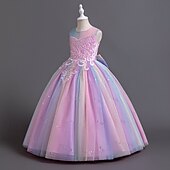billige Blomsterkjoler-Blomsterpikekjole Barn Jente Prinsesse kjole Ytelse Bryllup Fest Elegant Vakker Paljetter Netting Regnbue Ermeløs Crew-hals Rosa Blå 4 år +