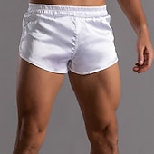 economico Boxer da uomo-Per uomo 1 confezione Biancheria intima Boxer Miscela di fibre chimiche Traspirante Morbido Liscio Vita normale Argento Nero