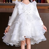 preiswerte Partykleider-kinderkleidung Mädchen Party Kleid Blume Langarm Hochzeit Besondere Anlässe Patchwork Zip bezaubernd Süß Baumwolle Polyester Asymmetrisch abendkleider Sommer Frühling Herbst 4-13 Jahre Weiß Rosa Rote
