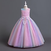 billige Blomsterkjoler-Blomsterpikekjole Barn Jente Prinsesse kjole Ytelse Bryllup Fest Elegant Vakker Paljetter Netting Regnbue Ermeløs Crew-hals Rosa Blå 4 år +